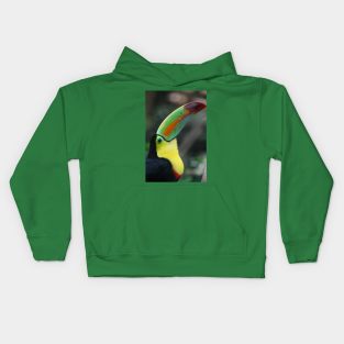 Toucan Kids Hoodie